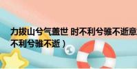 力拔山兮氣蓋世 時不利兮騅不逝意思(力拔山兮氣蓋世 時不利兮騅不逝)