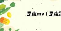 是夜mv(是夜歌詞)