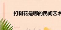 打樹花是哪的民間藝術(打樹花)