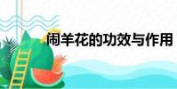 鬧羊花的功效與作用(鬧羊花)