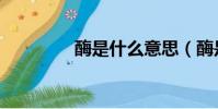 酶是什么意思(酶是什么)