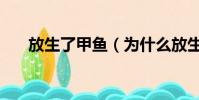 放生了甲魚(為什么放生甲魚會倒霉)