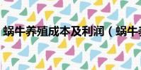 蝸牛養殖成本及利潤(蝸牛養殖一年賺多少)