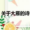 關于大雁的詩句古詩小學（關于大雁的詩句）