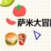 薩米大冒險1普通話（薩米大冒險1）