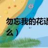 勿忘我的花語是什么意思（勿忘我的花語是什么）