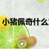 小豬佩奇什么意思網絡（小豬佩奇什么意思）