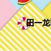 田一龍歌曲大全（田一龍的歌）