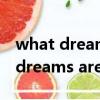 what dreams are made of和弦譜（what dreams are made of）