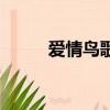 愛情鳥歌詞江映蓉（愛情鳥歌詞）