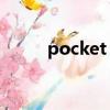 pocket pc 模擬器（pocket pc）