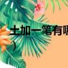 土加一筆有哪些字100個（土加一筆有哪些字）