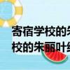 寄宿學校的朱麗葉結局在一起了嗎?（寄宿學校的朱麗葉結局）