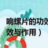 響螺片的功效與作用及營養價值（響螺片的功效與作用）
