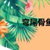 彎尾骨魚哪里最好釣（彎尾骨魚）