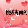 挑撥離間的人會有什么報應（挑撥離間）