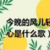 今晚的風兒輕別讓我傷心是什么歌（別讓我傷心是什么歌）