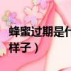 蜂蜜過期是什么樣子的視頻（蜂蜜過期是什么樣子）