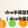 dna半保留復制用了放射性同位素標記法嗎?（dna半保留復制）