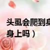 頭虱會爬到身體其他地方上去嗎（頭虱會跑到身上嗎）