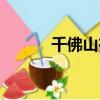 千佛山在哪個區（千佛山在哪）