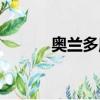 奧蘭多魔術英文（奧蘭多魔術）