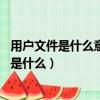 用戶文件是什么意思（請問下這個用戶文件下kpatent5336是什么）