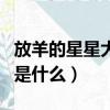 放羊的星星大致劇情（《放羊的星星》大結局是什么）