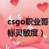 csgo職業哥鼠標靈敏度網站（csgo職業哥鼠標靈敏度）