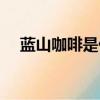 藍山咖啡是什么做的（咖啡是什么做的）