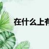 在什么上有天賦的英文（天賦的英文）