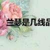 蘭瑟是幾線品牌代言人（蘭瑟是幾線品牌）