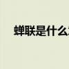 蟬聯是什么意思精確（蟬聯是什么意思）