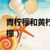 青檸檬和黃檸檬的區別和作用（青檸檬和黃檸檬）