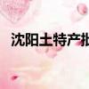 沈陽土特產批發市場在哪里（沈陽土特產）