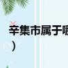 辛集市屬于哪個市哪個區（辛集市屬于哪個市）