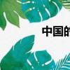 中國的次級貸款（次級貸款）