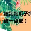 被狗狗爪子抓破一點皮怎么辦（被狗狗爪子抓破一點皮）