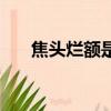 焦頭爛額是什么詞（焦頭爛額的意思）