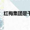紅梅集團是干啥的（紅梅集團董事長被查）