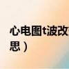 心電圖t波改變什么病（心電圖t波改變什么意思）