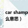 car shampoo是什么意思（shampoo是什么意思）