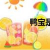 鴨寶是什么樣（鴨寶是什么）