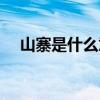 山寨是什么意思解釋（山寨是什么意思）