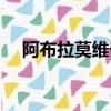 阿布拉莫維奇自傳（阿布拉莫維奇女友）