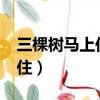 三棵樹馬上住服務到底怎么樣?（三棵樹馬上住）