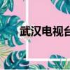 武漢電視臺主持人管晨（武漢電視臺）