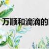萬順和滴滴的區別（萬順叫車和滴滴哪個好）