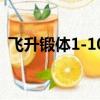 飛升鍛體1-10升級數據（qq飛升真元鍛體）