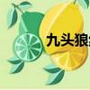 九頭狼紋身（九血狼紋身圖案）